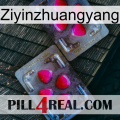 Ziyinzhuangyang 15